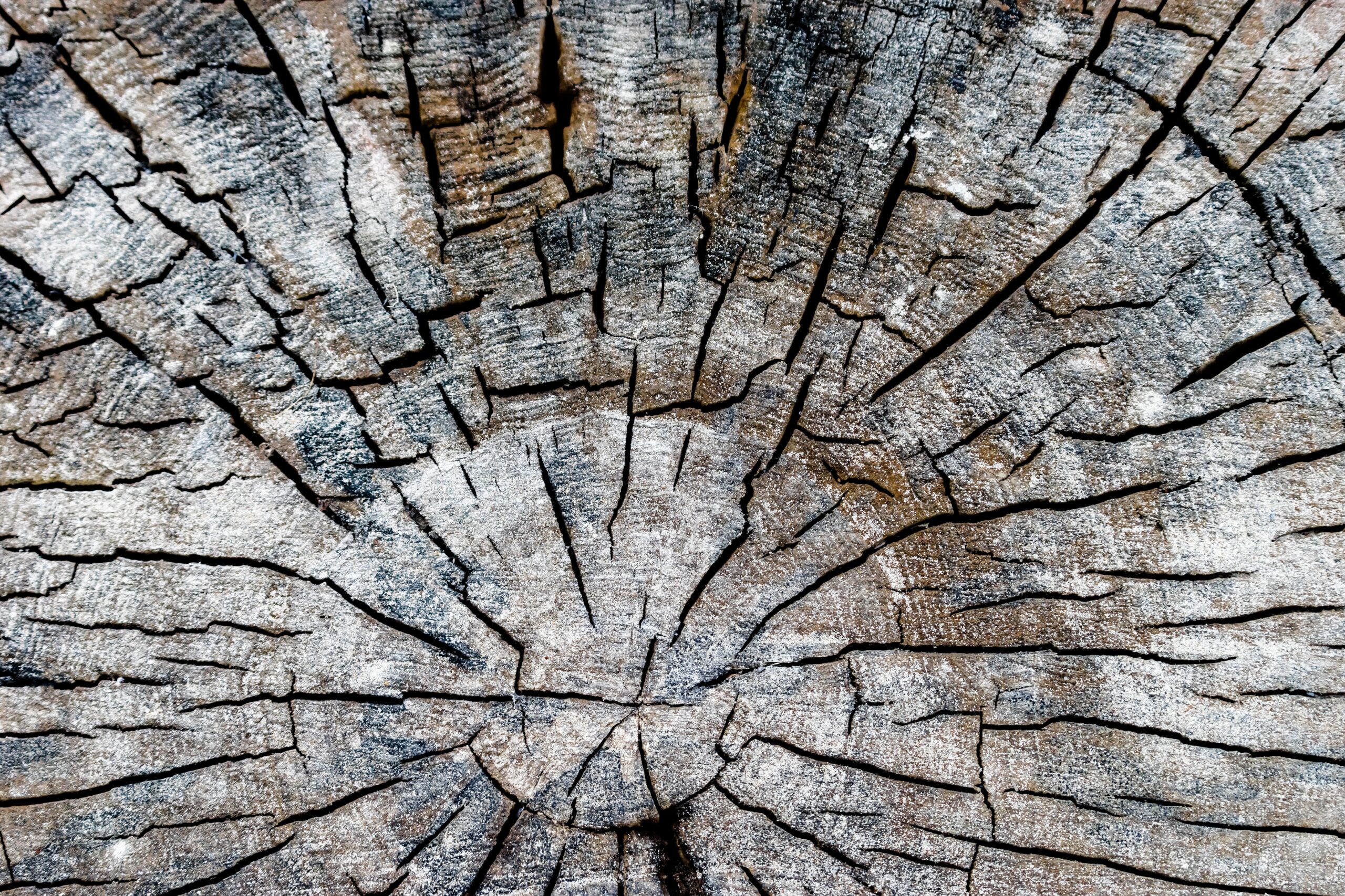 wood grain - integrative care blog post image