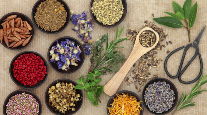 naturopathic medicine herbal treatments